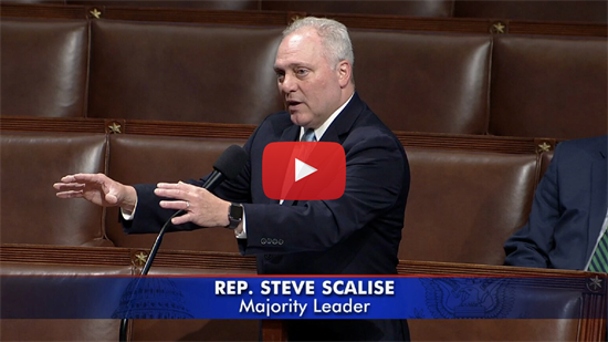 PLAY - Scalise on House Floor 6.13.23