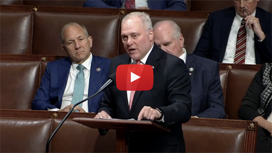 PLAY - Scalise on House Floor 5.31.23